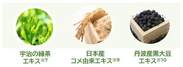 Ingredientes japoneses: t&eacute; verde, arroz y soja negra