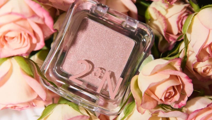 Colorete 2aN Dual Cheek