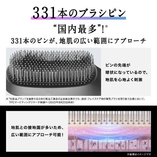 Pines del cepillo y su funci&oacute;n