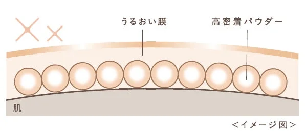 Diagrama que muestra la "pel&iacute;cula hidratante" y el "polvo de alta adherencia" sobre la piel