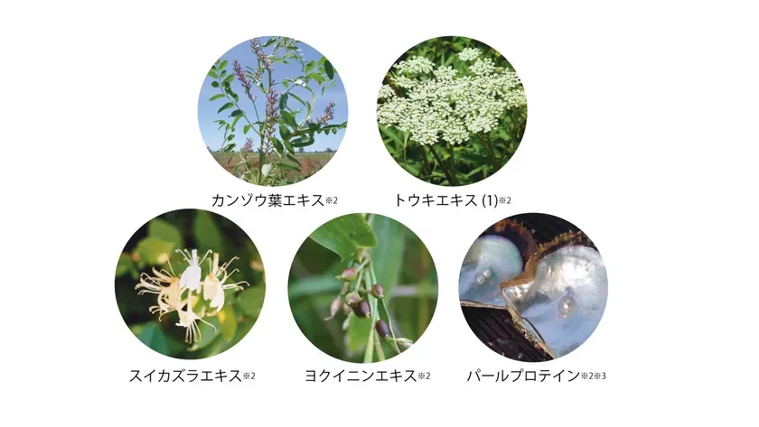 5 extractos herbales japoneses