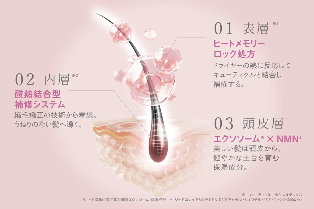 Tecnolog&iacute;a de Reparaci&oacute;n de 3 Capas