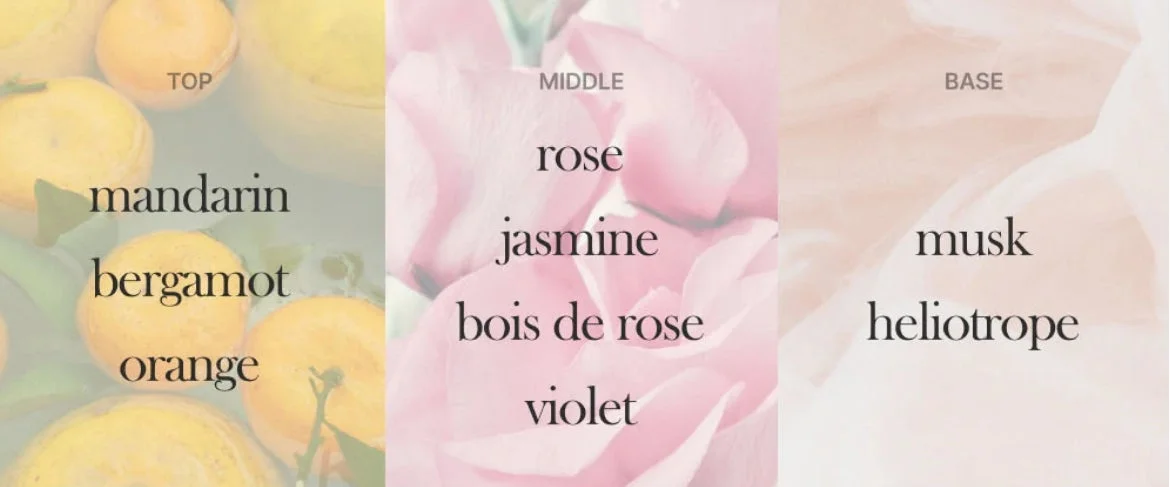 Notas de fragancia