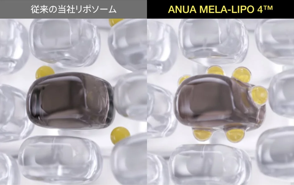 Comparaci&oacute;n de liposomas de Anua