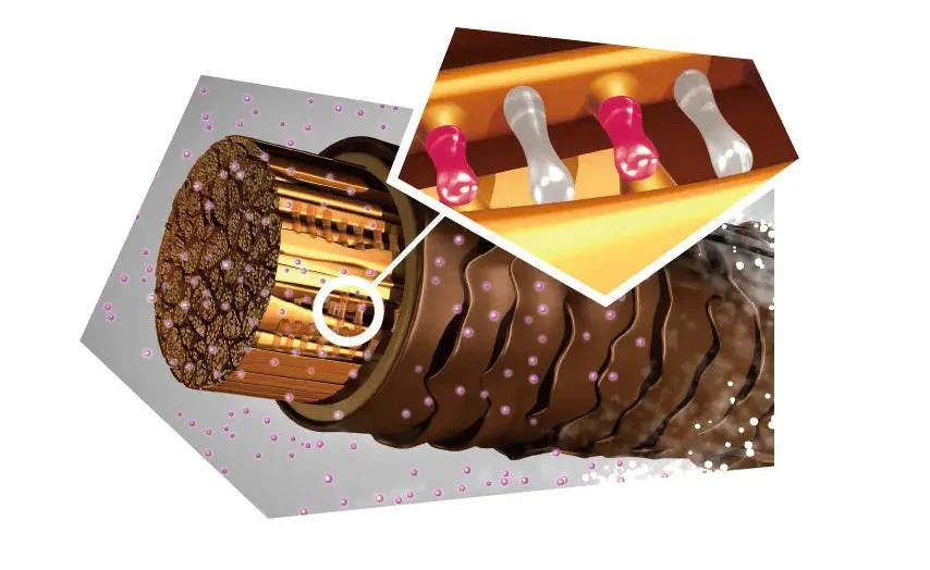 Tecnología Bonding de got2b