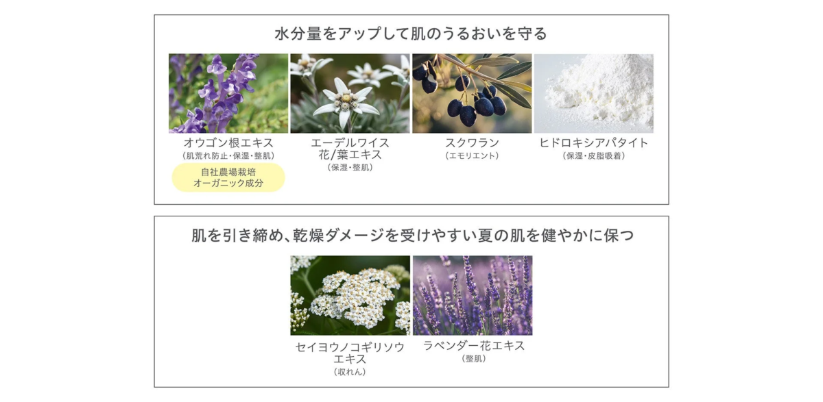 Ingredientes del polvo facial