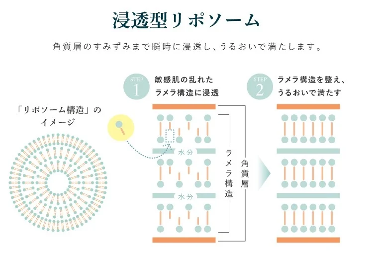 Mecanismo de penetraci&oacute;n de liposomas