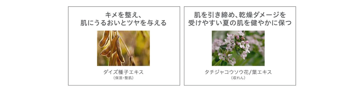 Ingredientes de la prebase