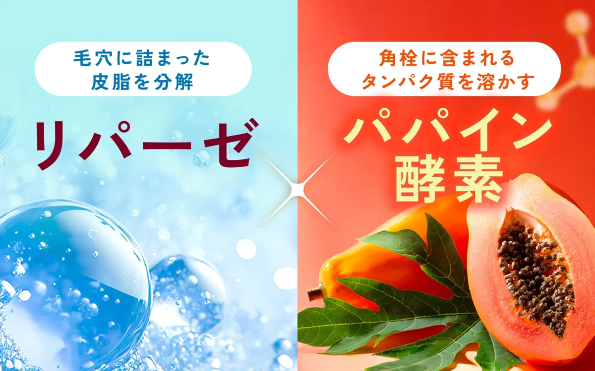 Enzimas Papa&iacute;na y Lipasa