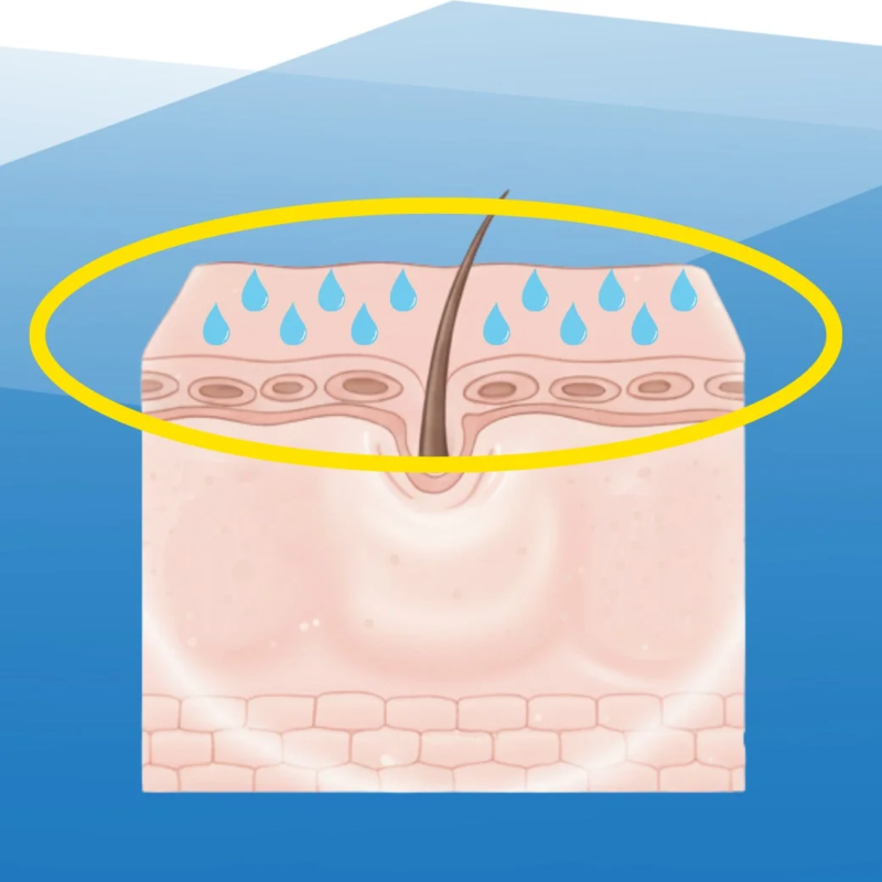 Hidrataci&oacute;n Post-Depilaci&oacute;n