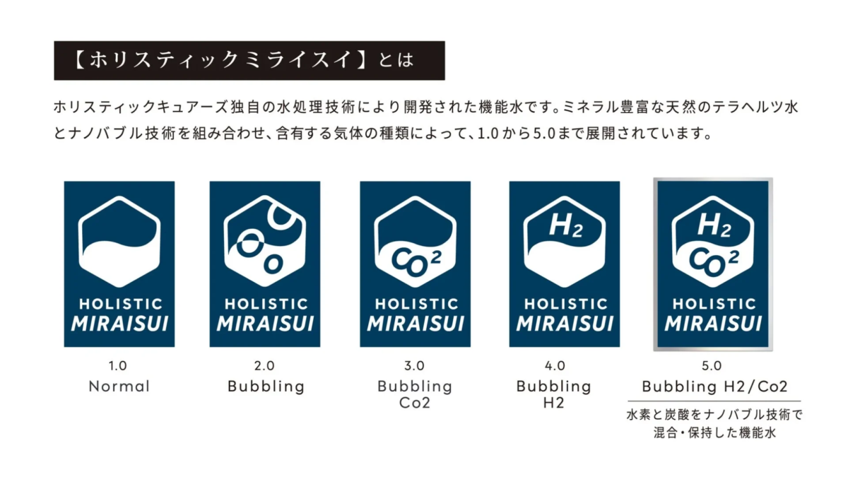 Concepto de Holistic MIRAI SUI