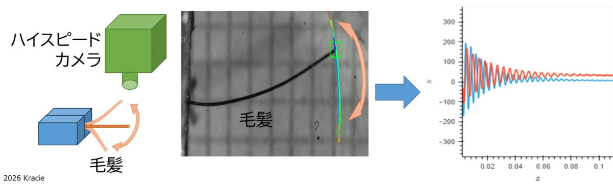 C&aacute;mara de alta velocidad y an&aacute;lisis de movimiento del cabello