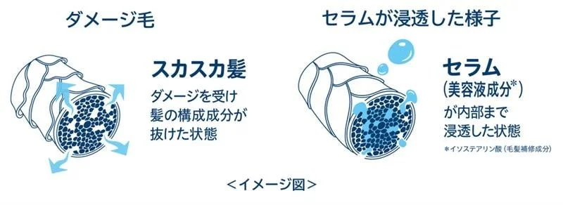 S&eacute;rum penetrando el cabello da&ntilde;ado