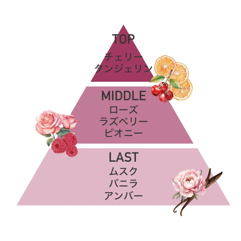 Pir&aacute;mide olfativa de la colecci&oacute;n ROSE