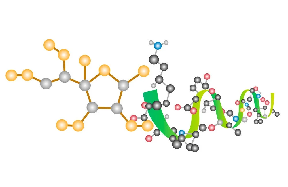 Estructura molecular