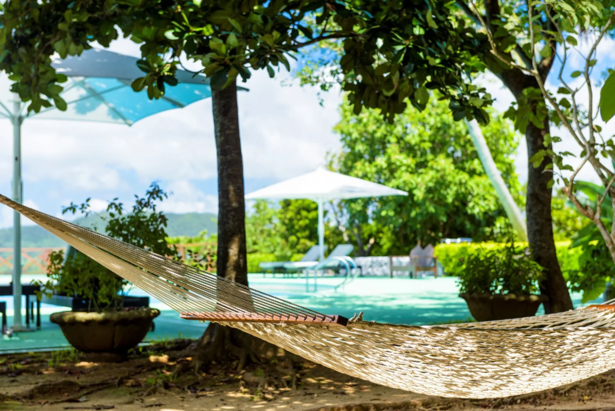 Hammock