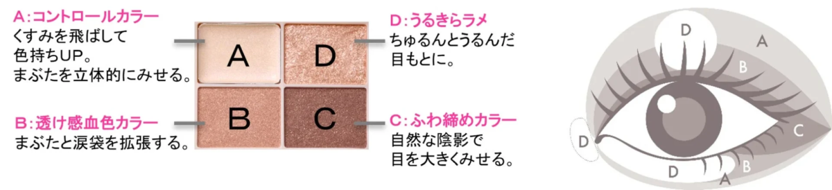 Guía de aplicación de la paleta de sombras de ojos Kiss Zoom Eye Potion X