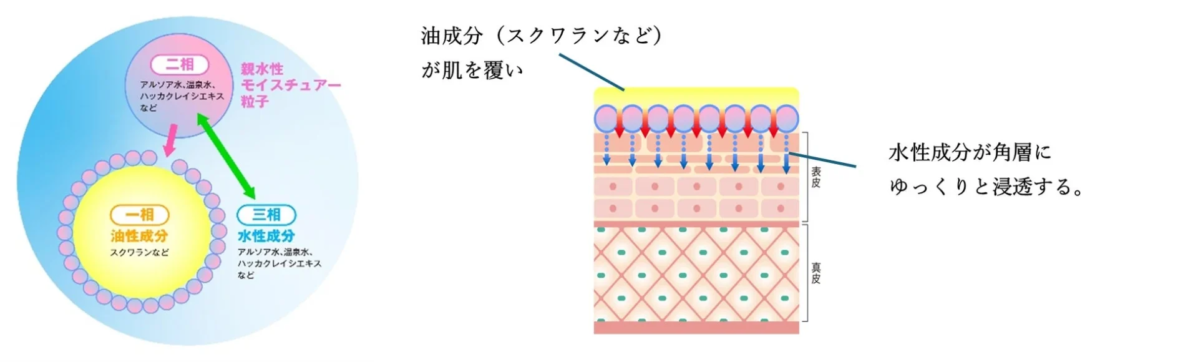 Diagrama de la Tecnología de Emulsión Trifásica