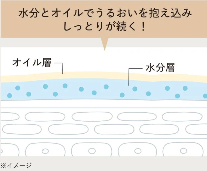 Multilayer Hydration Diagram