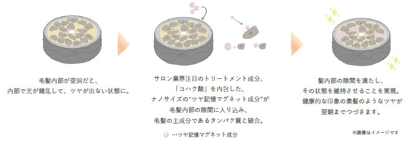 Mecanismo del "Tsuyamemory Magnet Component"