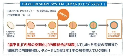 STYLE RESHAPE SYSTEM