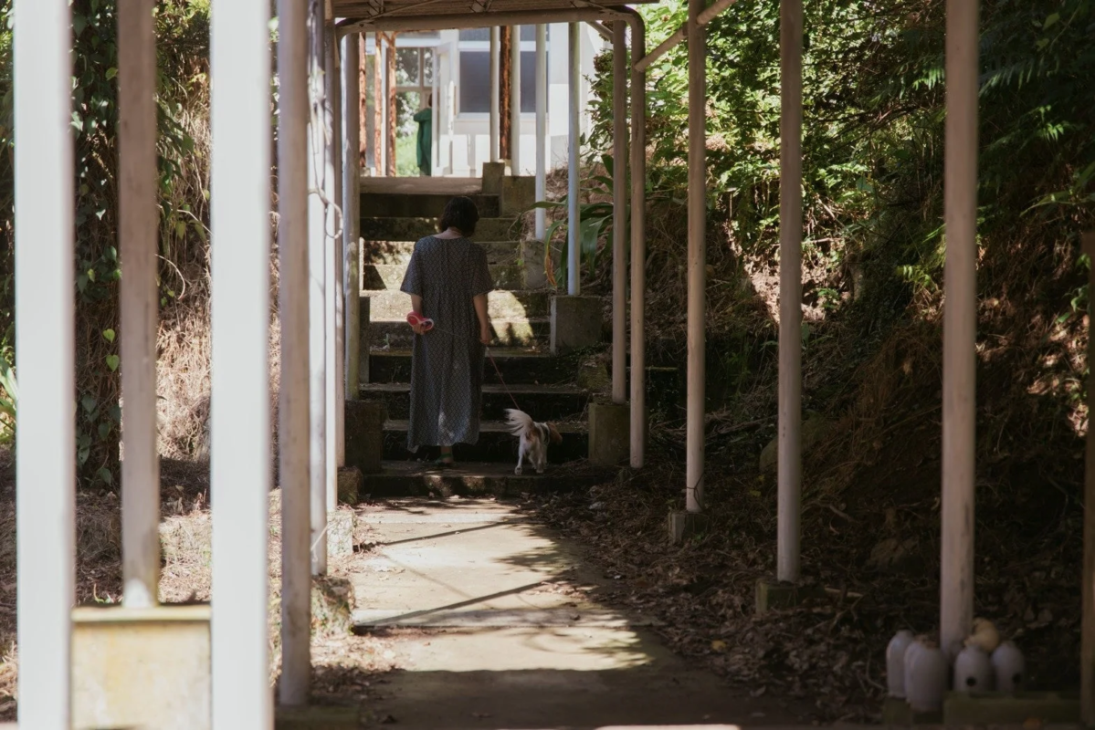 Mujer paseando a un perro