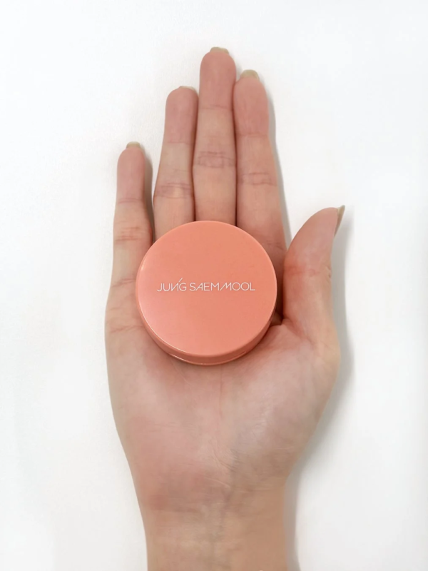 Artist Cushion Blush Mini Size