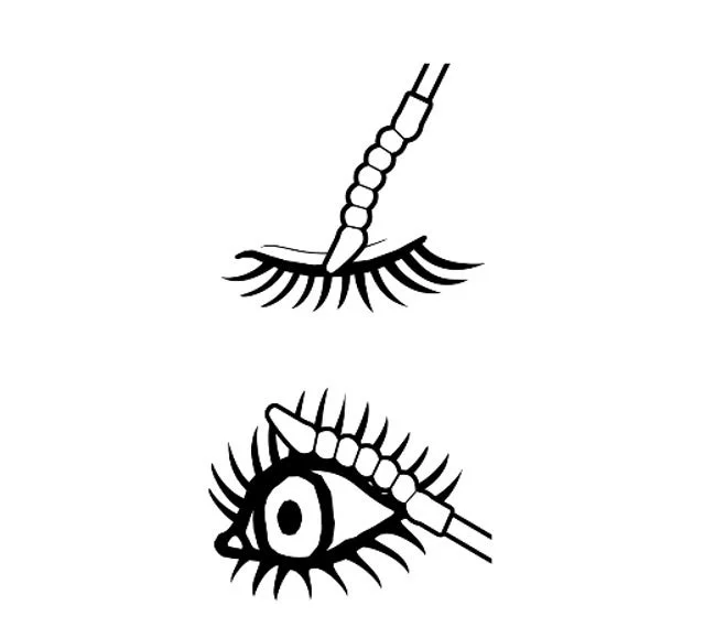 Ilustraci&oacute;n del modo de aplicaci&oacute;n
