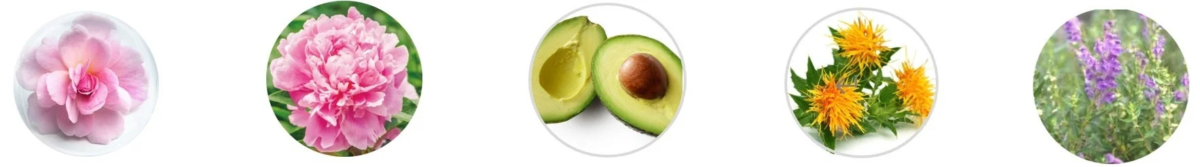 Ingredientes de belleza para proteger la piel