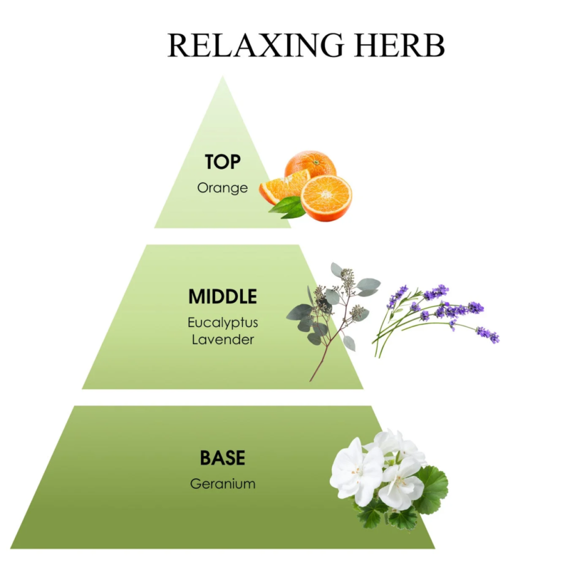 Pirámide de aroma de hierbas relajantes