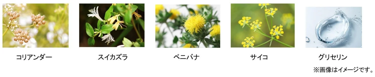 Golden Botanical Concentrate