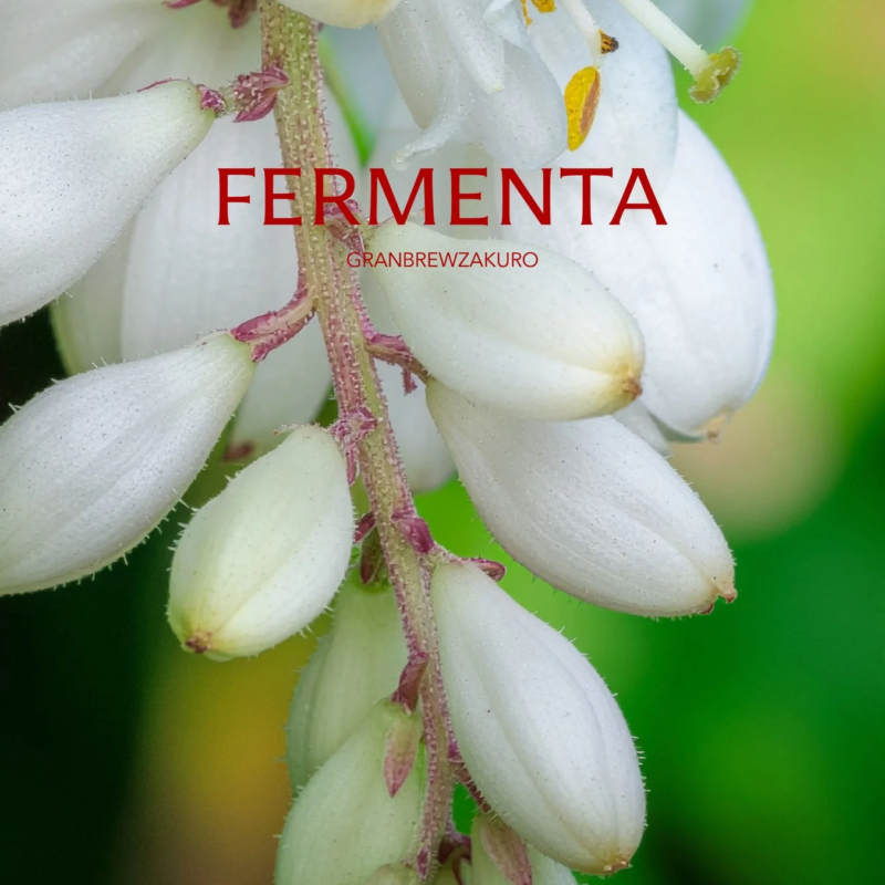 Flores blancas en rama