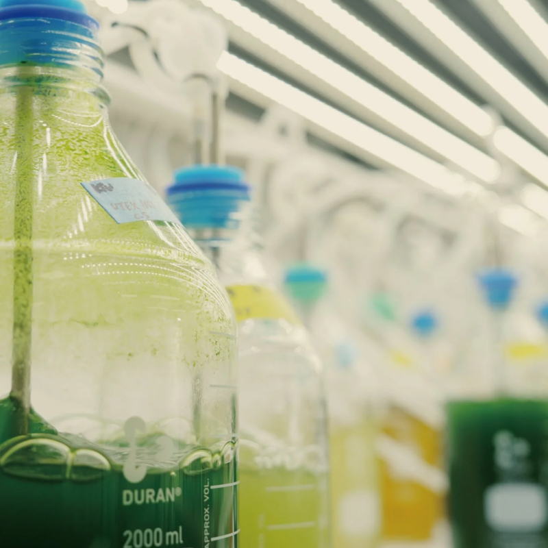 Frascos de laboratorio con líquidos de colores