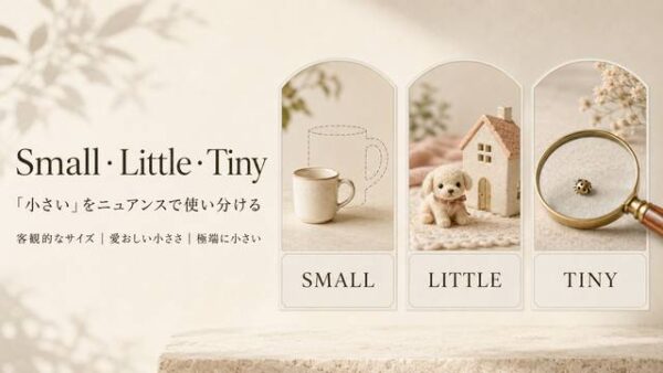 Beautiful・Pretty・Cuteの違いを表す英単語イメージ