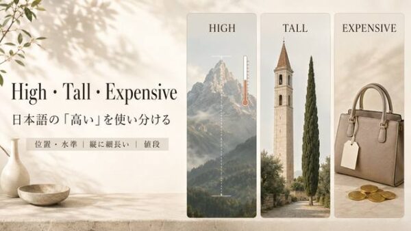 High・Tall・Expensiveの違いを表す英単語イメージ